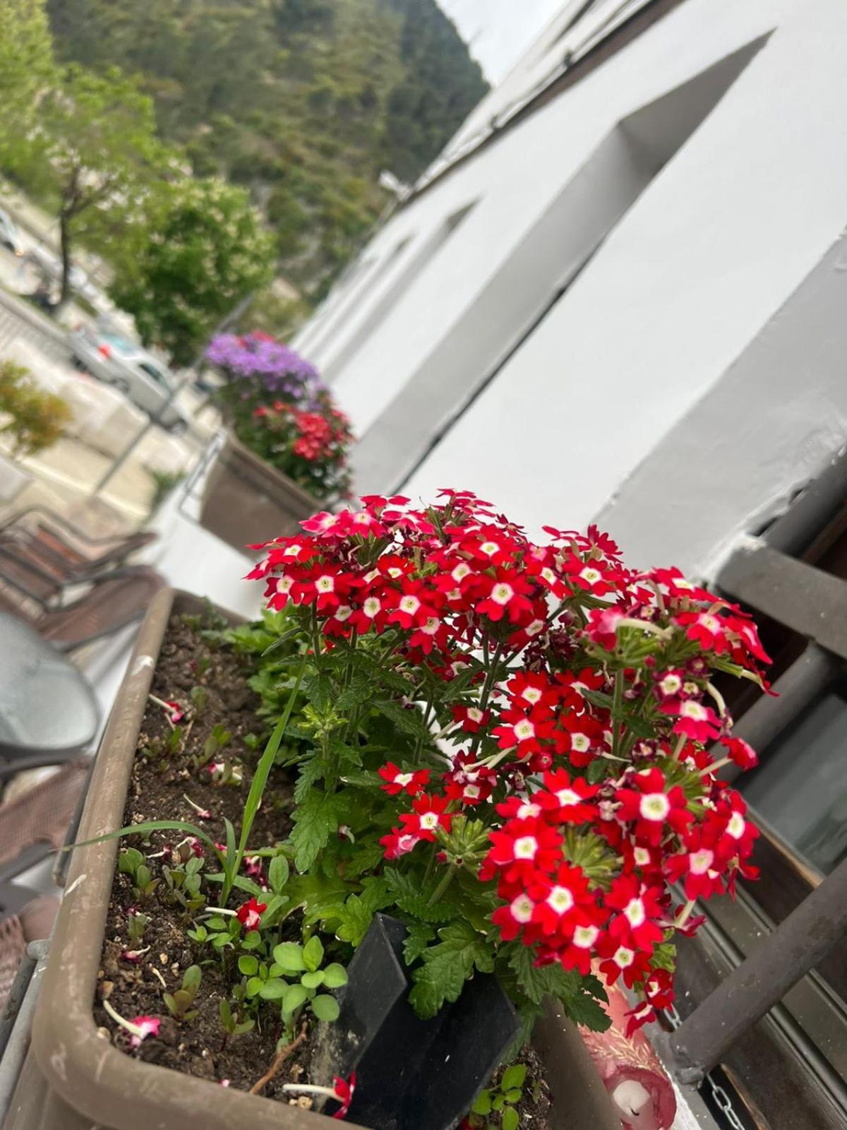 Hotel Omer 베라트 객실 사진